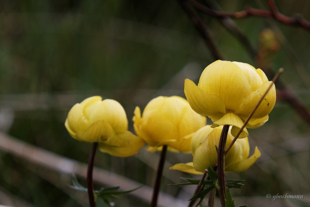 20140531_140